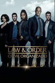 Assistir Law & Order: Crime Organizado online